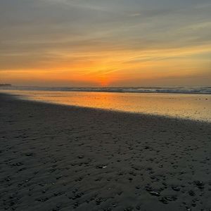 Meet your Posher, Payton